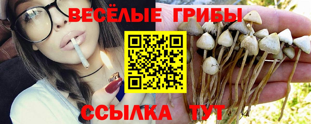 Псилоцибиновые грибы ЛСД Ханты-Мансийск